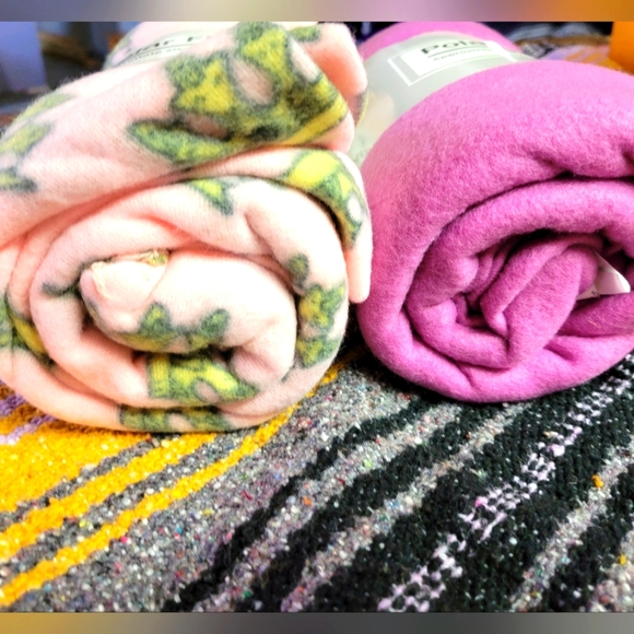 🛒🛍️💥NWT lot of 2 polar fleece throws 50×60 inches pink/crowns bright pink - Picture 3 of 7